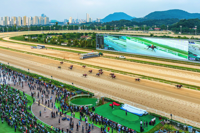 'Winner goes to the U.S. and Horse Racing Fan goes to Tottenham!' Korea-U.S.-Japan three-way race opens on September 8th, the 7th Korea Cup