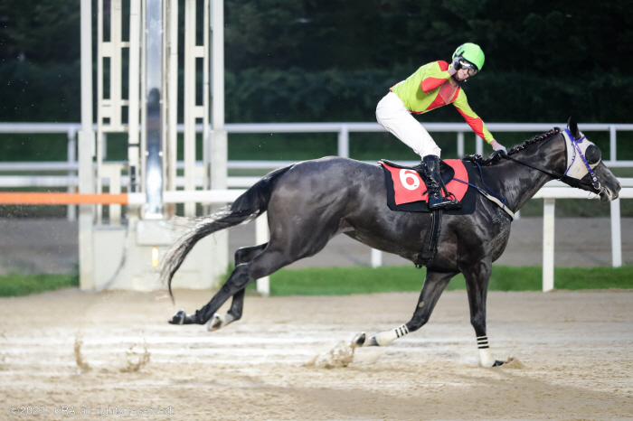  Horse racing. It's leisure sports! Let's Run Park Seoul Full of Unique Race