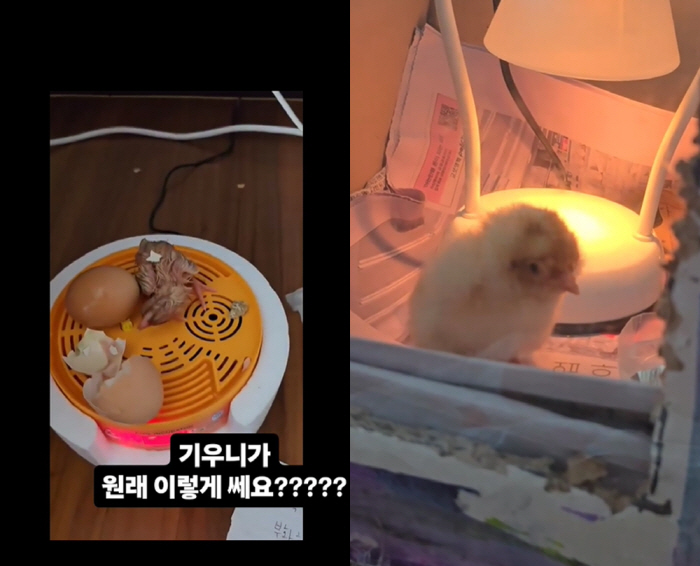 Kim Kyung-ah ♥ Kwon Jae-kwan gets the third..'My husband takes the baby. 'Anyone who had a baby dream? Is your child yellow?'