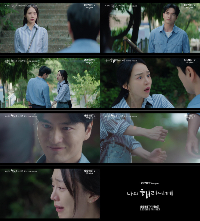 Shin Hye-sun - Lee Jin-wook ends an eight-year long-term relationship in sobbing ('To my Harry')