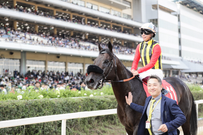  Japanese racehorses, Korea Cup & Korea Sprint have lost two consecutive games on the world stage. Korea Race Painful Growth Pain Continues to Make Global Steps