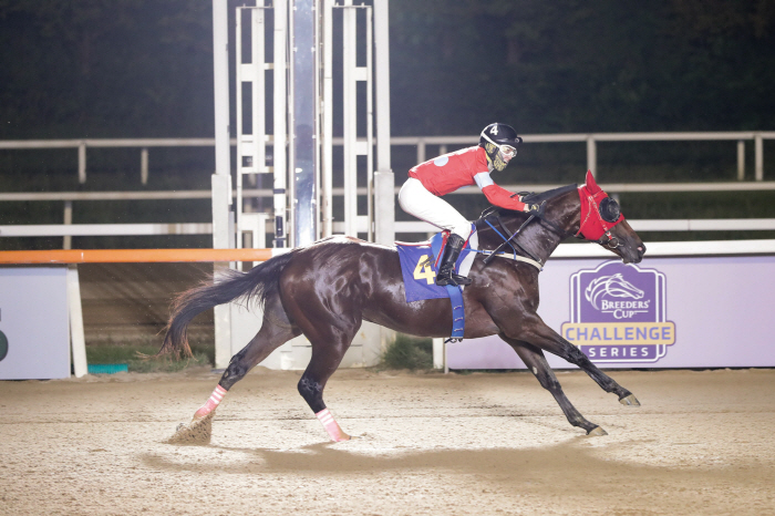  2nd generation's best horse race, Seoul 'Silverlane'Busan 'WinnerClear' First Gate!