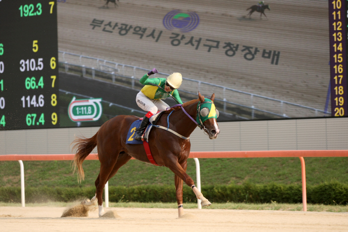  2nd generation's best horse race, Seoul 'Silverlane'Busan 'WinnerClear' First Gate!