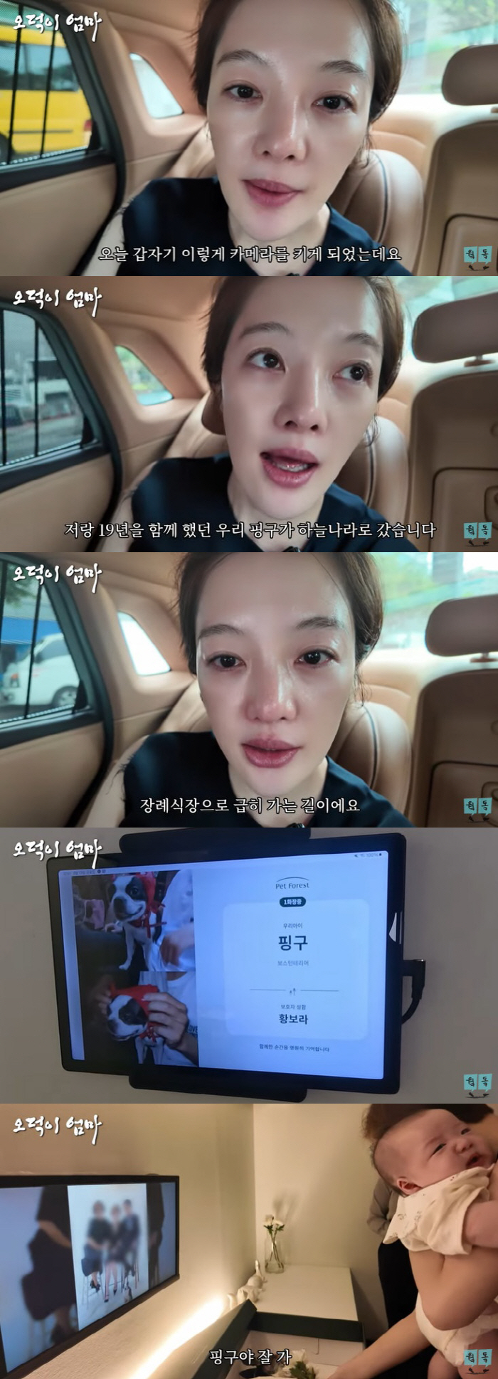 ''Farewell for 19 years' Hwang Bo-ra sobbed at the funeral home. Bye, mother baby.''