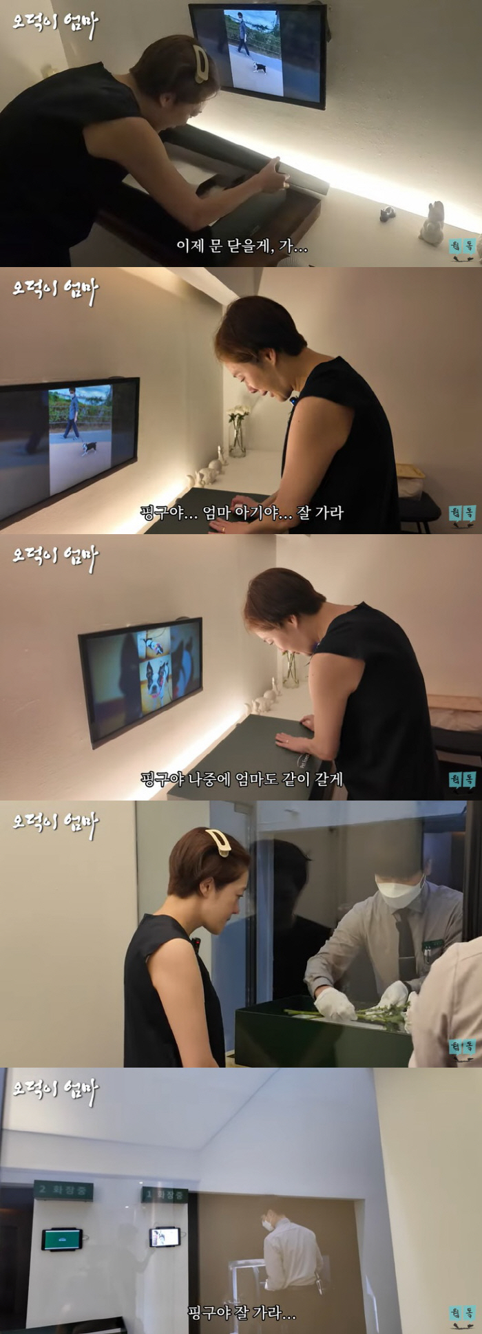 ''Farewell for 19 years' Hwang Bo-ra sobbed at the funeral home. Bye, mother baby.''