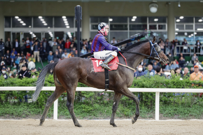  Let's Run Park Seoul, the grand prize and special race for the 4th quarter in advance