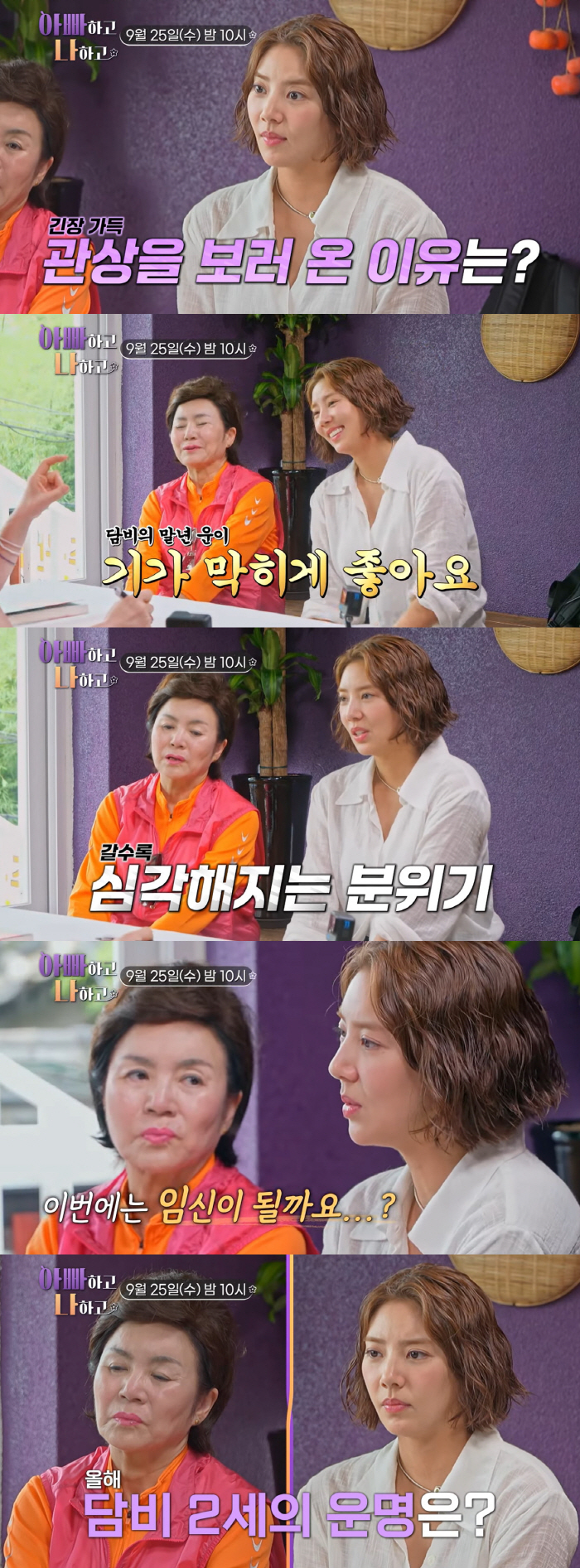 '♥Lee Kyu-hyuk'Son Dambi, will you succeed in pregnancy this year through in vitro procedures..'Prepare a baby at 41' ('Dadna')