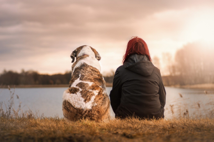 'Hugging a dog reduces body pain' is better than a person