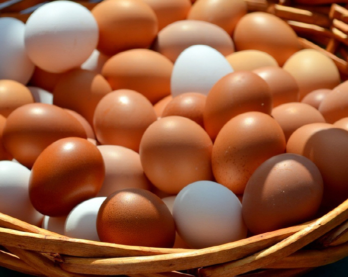 A man who ate 720 eggs in a month, came up with a 'surprising' result