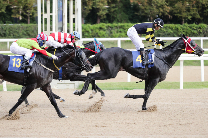  The birthplace of the 40-year-old long-distance famous horse, the 40th daily sports competition will be held