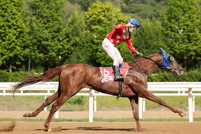  The birthplace of the 40-year-old long-distance famous horse, the 40th daily sports competition will be held