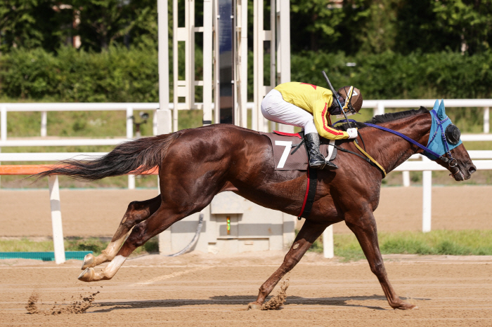  The birthplace of the 40-year-old long-distance famous horse, the 40th daily sports competition will be held