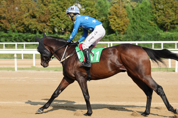  The birthplace of the 40-year-old long-distance famous horse, the 40th daily sports competition will be held