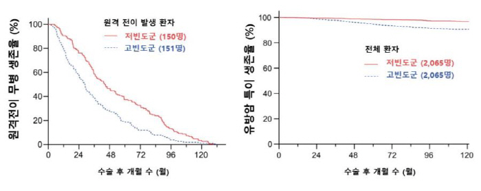 'Frequent metastasis tests after breast cancer treatment, no significant effect on improving survival rates'