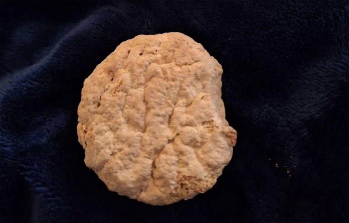 84-year-old biscuit found in the freezer of the deceased grandmother. What's the story?