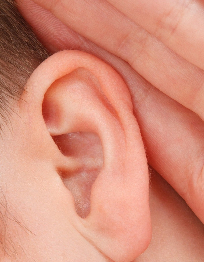 ''Exudative otitis' common in children, if left unattended, it interferes with language development.'