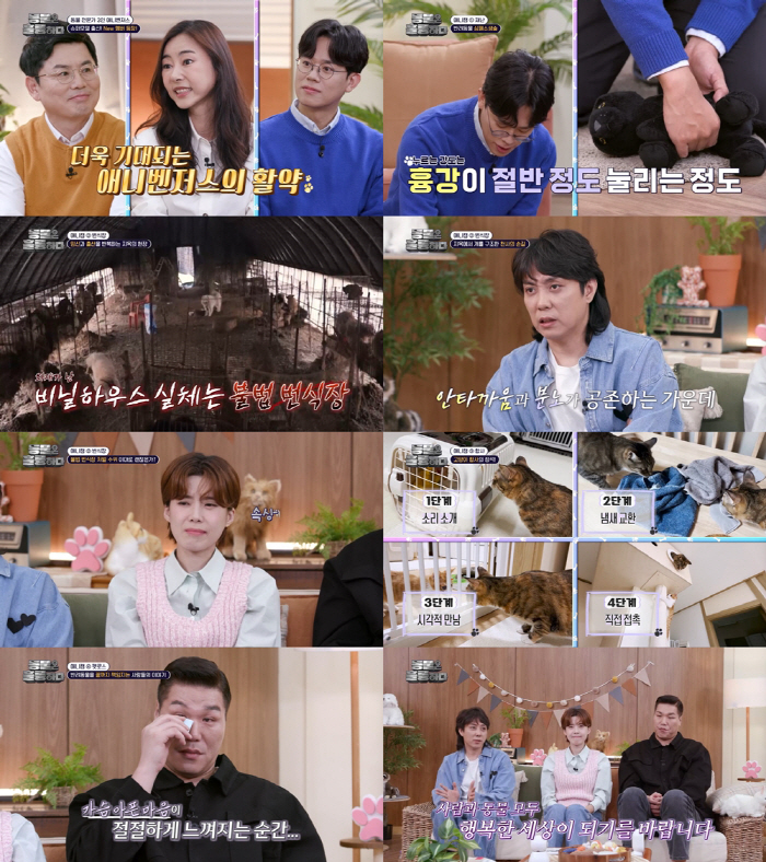  Eun Ji-won, 'Petros Syndrome'Confession'I cried for 3 days, I can't hide my sadness' ('Dongbrilliant')