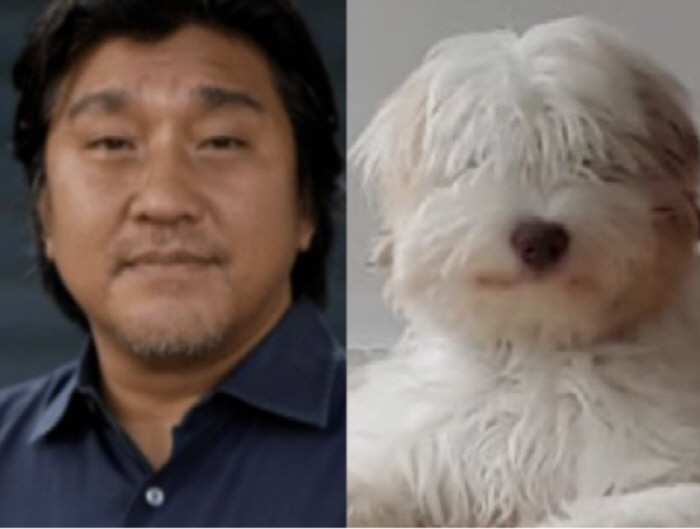 'Black and White' Edward Lee gave birth to a pet dog'This is a biological child'