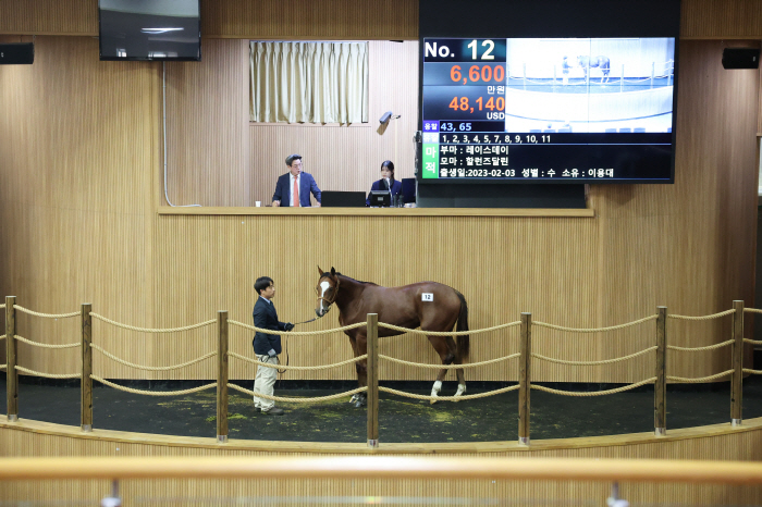  First first-generation racehorse auction in 2024, recording the highest price of 166 million won