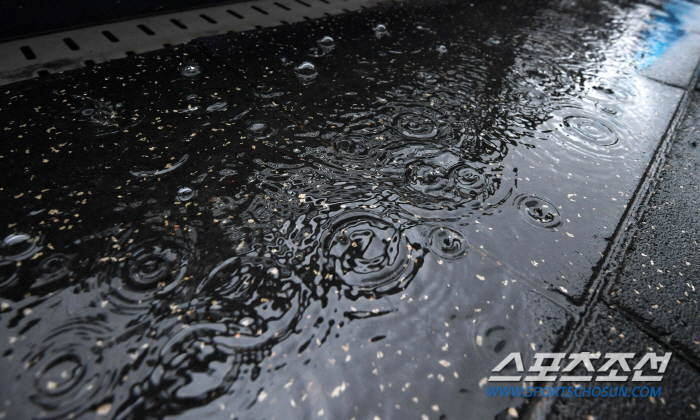 'It's up to the sky' Whether L Dongwon will take the mound in the fourth round of PO...A ground with thick rain