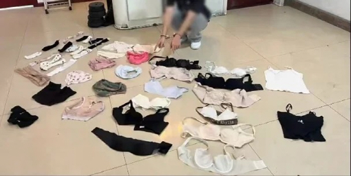 The thief, who stole only women's underwear and socks instead of valuables, is because of the reason 'absurd'