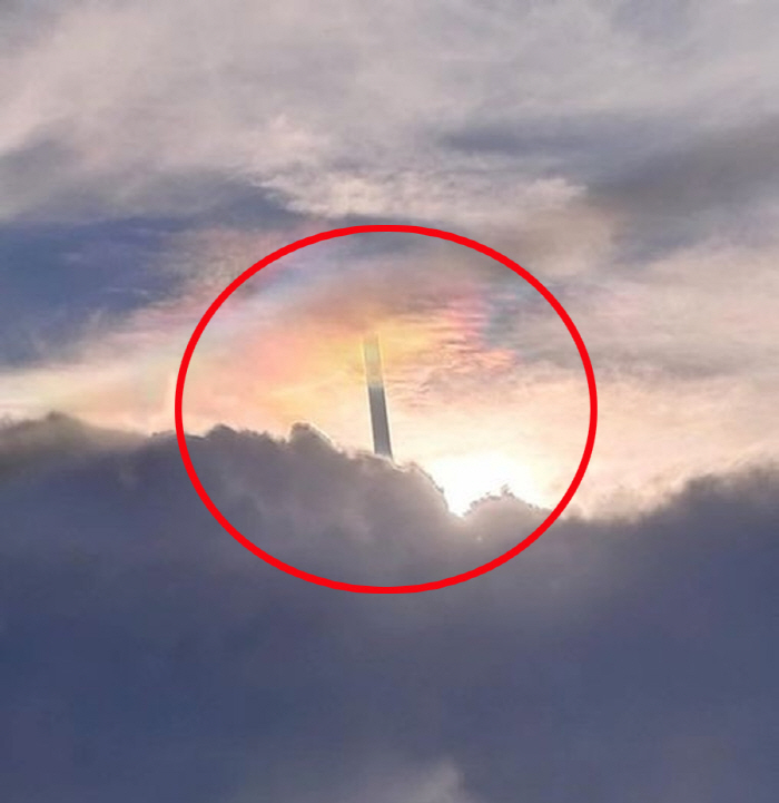 The identity of the 'mysterious pillar' captured from the sky'Legendary beanstalk'?