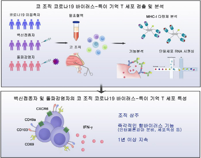 'COVID-19 Vaccine Leads Defensive Immunity to Nose Tissue'