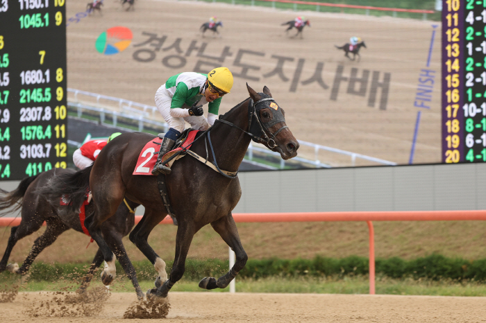  The 18th Gyeongsangnam-do Governor's Cup (GIII) 'Wonderful Slu' to achieve 2 consecutive wins