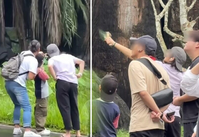 Tourists who shot slings at the zoo 'Anger'He's also Chinese'