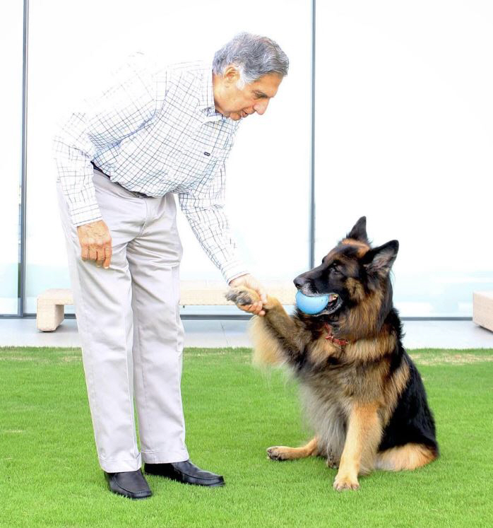 Chairman Tata leaves 100 billion won in inheritance for his dog to his brother 'Rat tail'