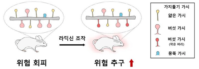 'Gambling addiction can be controlled by manipulating brain neurons'