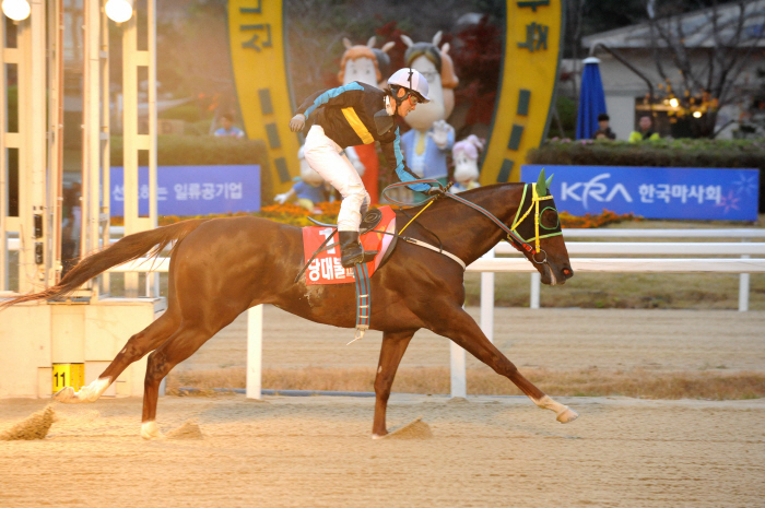 Honorary racehorse'Clean Up Joy' hold an event to commemorate joining Anseong Farmland