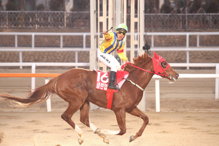 Honorary racehorse'Clean Up Joy' hold an event to commemorate joining Anseong Farmland