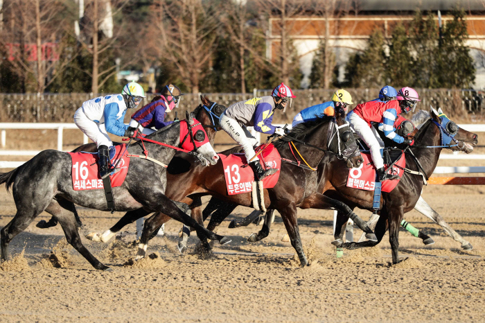  Korea Racing Authority announces implementation plan for horse racing in November 2024