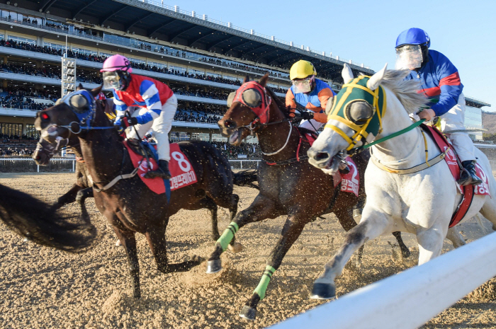  Korea Racing Authority announces implementation plan for horse racing in November 2024