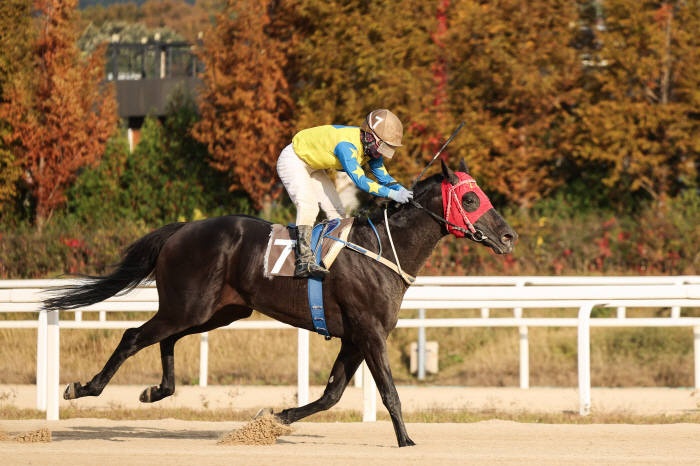  The veteran's fighting spirit 'Thunder Horse' won the 13th Seoul Economic Newspaper Cup