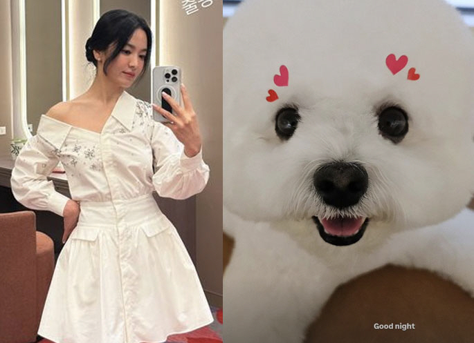 Song Hye-kyo Shares Daily Life Update