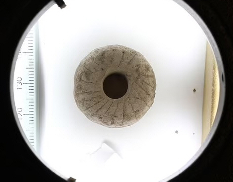 Are we rewriting the history of wheel invention?'Earcovering wheels from 12,000 years ago'