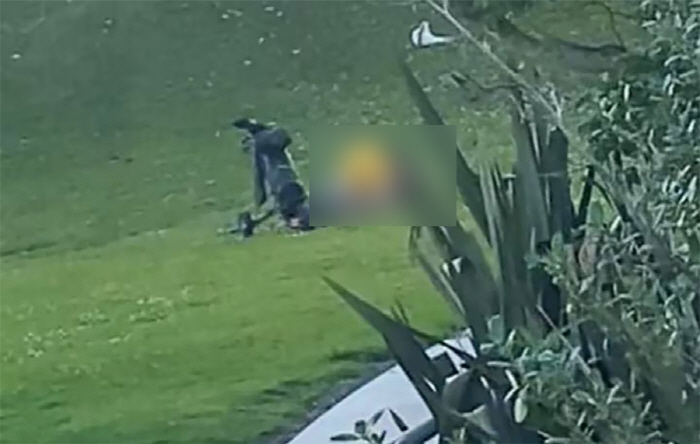 A couple having sex on the lawn of a golf course 'Shock'It won't be a couple''