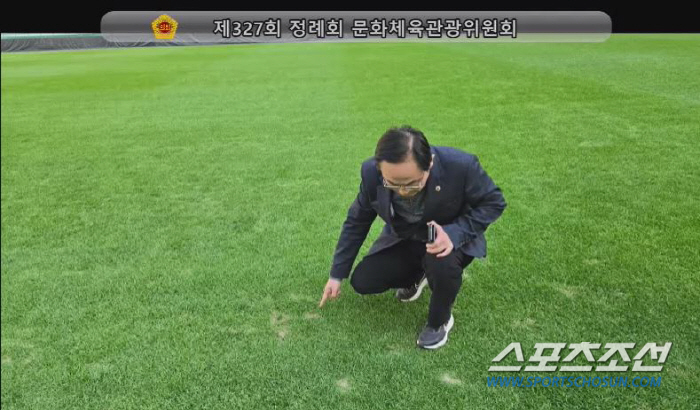 Seoul Metropolitan Councilors'Such grass, disgrace of the capital city'...Seoul's Sangam turf budget will be increased by 3.3 billion won '3 times'