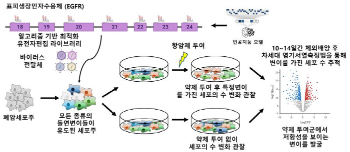 More than 95% of EGFR lung cancer patients have developed anticancer drug resistance mutation exploration technology