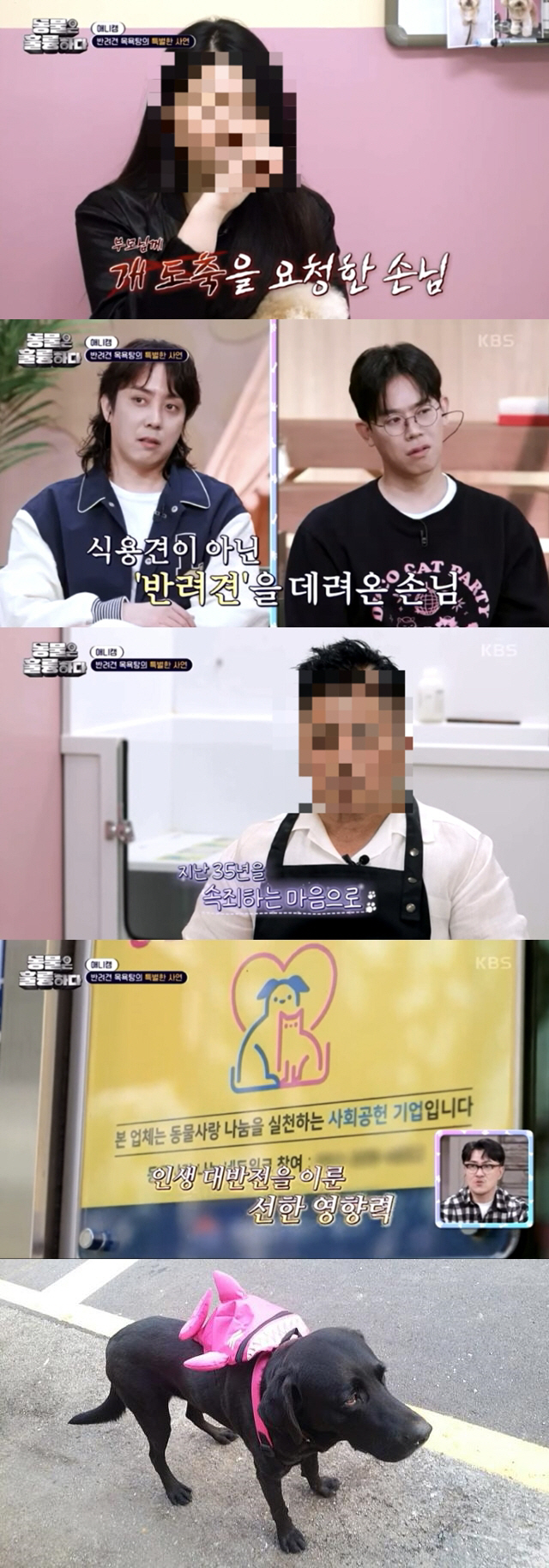  'Atonement for making a stolen dog owner?'KBS'Animal Excellence', only for the second time, controversy over the glorification of animal abusers