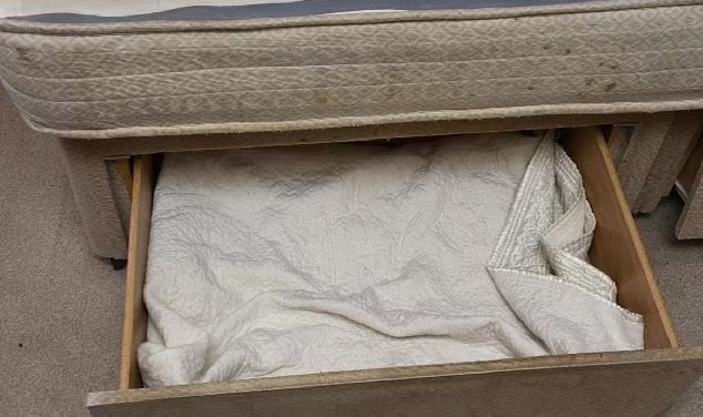 Heartless Mother Hidden in Drawers for 3 Years of Newborns'Experience of Living Death'