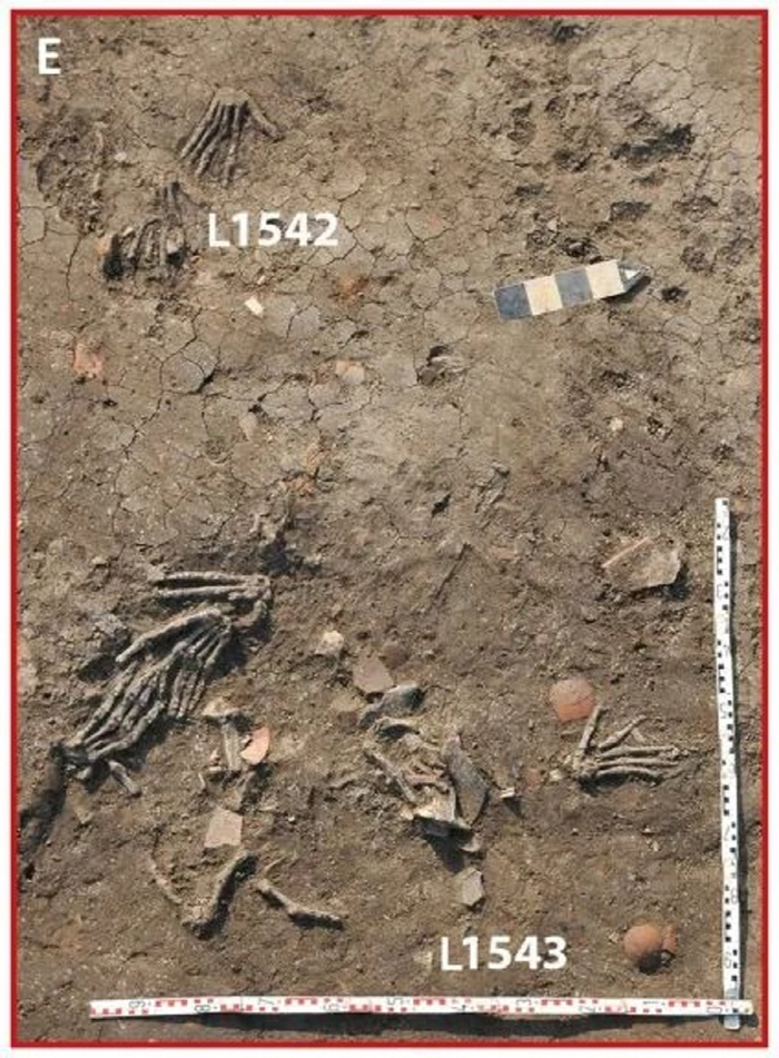 12 amputated right hand from a 3500-year-old tomb, what secret?