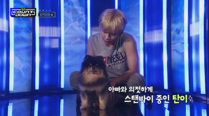 BTS' V Mourns Passing of Beloved Dog