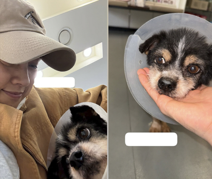 Lee Sang-soon ♥' Lee Hyo-ri's extraordinary love for animals...Visiting Gangneung Shelter and volunteering for abandoned dogs