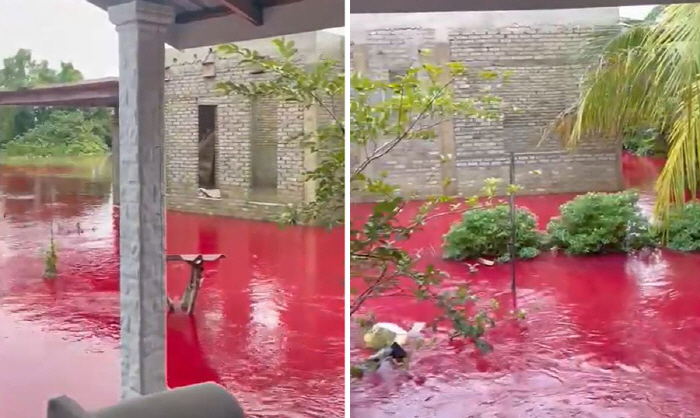 A river that turned red after raining like blood'Man-made disasters'