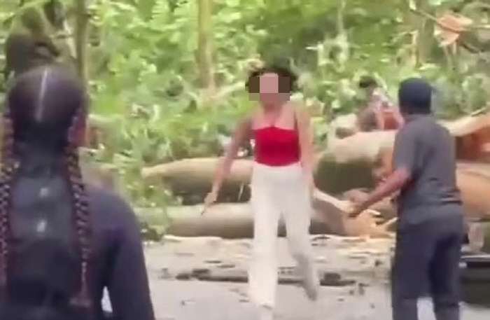 Two people, including Koreans, died after a large tree collapsed at a tourist destination in Bali