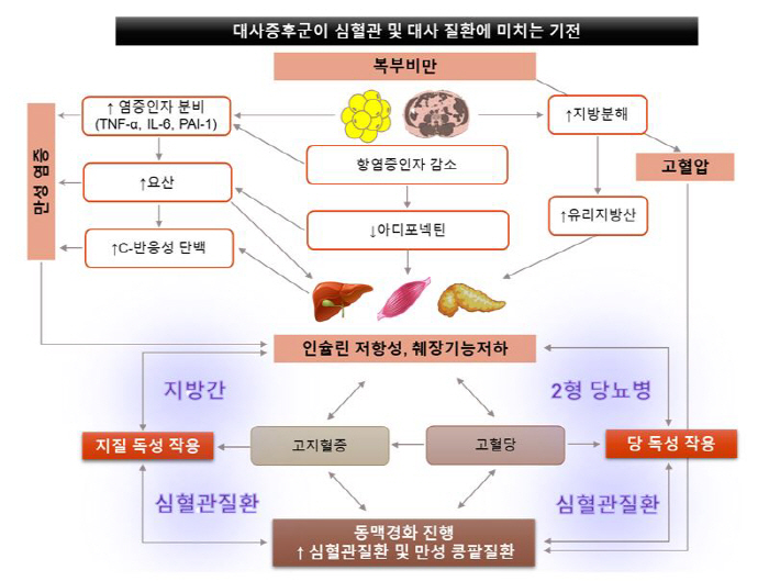 Professor Lim Soo of Seoul National University Bundang Hospital presents an end-of-the-year paper on Nature Review