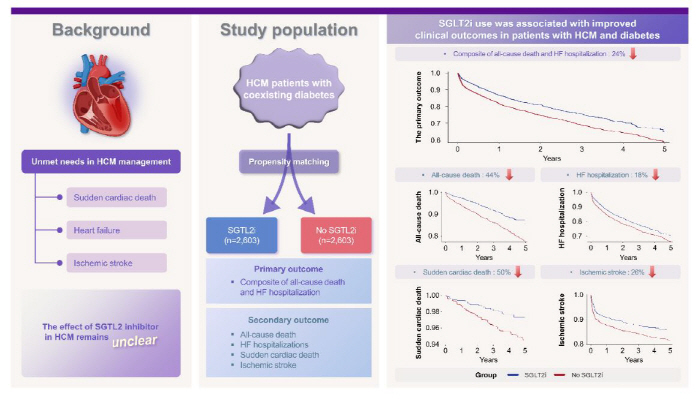 Risk of cardiac death and heart failure Hypertrophic cardiomyopathy, suggesting the possibility of treatment of SGLT2 inhibitors